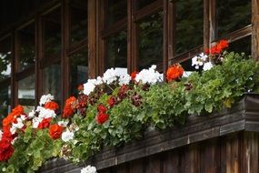 balcony with floral boxes