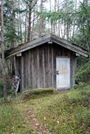hut among the trees