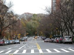 pedestrian crossing in New York