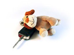 car keys case dog toy
