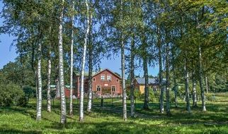 house among the birches, Stockholm