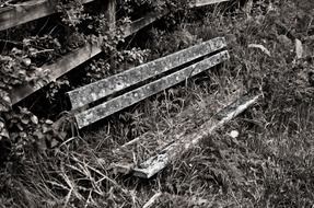 old bench