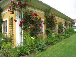 house, sweden, countryside