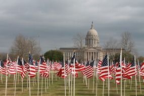 American flags in front of the white house