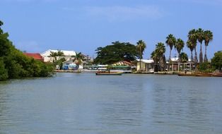 view from the black river