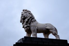 Brave lion statue in the London