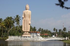 a huge statue of Buddha on Sri Lanka