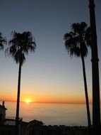 Palm trees and sea at sunset in Calabria