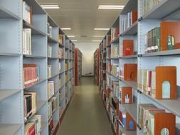 Bookshelves of provincial library building