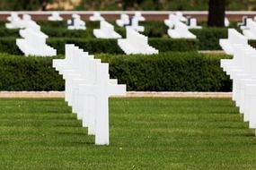 American military cemetery among green grass