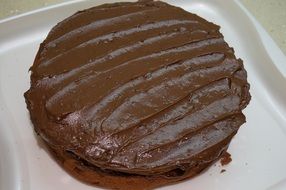 cake with thick chocolate cream