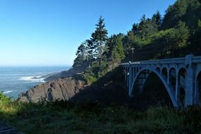 bridge on the shore