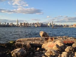 new york skyline brooklyn water