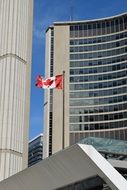 flag canada in toronto, city hall