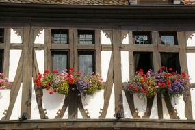 house front with flowers