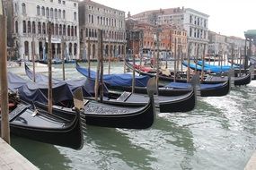 Gondolas parking on the water in Venice, Italy