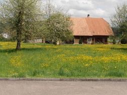 landscape of building on a farm