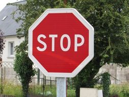 stop road sign near green tree