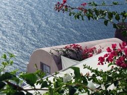 beautiful house with flowers on the shore