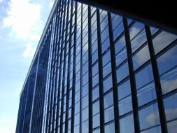 glass facade of a tall building