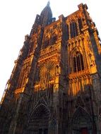Cathedral in the rays of sunset in Strasbourg