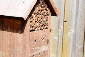 bee house in the garden