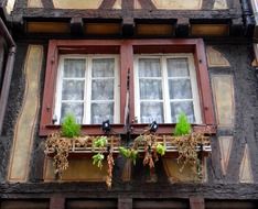 wilted flowers on the windowsill of a building in the old town in Alsace, France