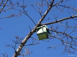 house for birds on a tree branch against the sky