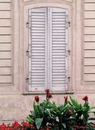 white wooden shutters on a building wall in Vienna in Austria