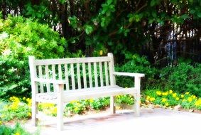 white bench in the garden