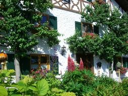 the white facade of the house is surrounded by green espalier tree, allgau