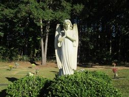 landscape of angel statue on the grave