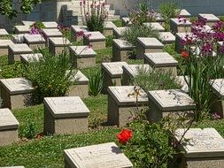 headstones at anzac cemetery