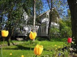 Villa on the helsinki island