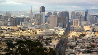 beautiful cityscape in san francisco