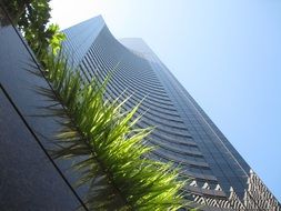 architecture of the building of America the view from the grass