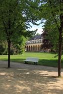 free bench at park, summer landscape