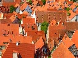 orange roofs