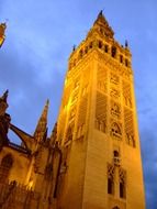 cathedral in night illumination in Andalusia