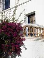 balcony with flower terrace