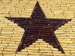 star-shaped corn