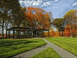 park with yellow trees in autumn