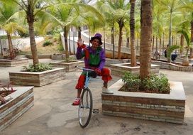 clown on a bicycle among palm trees in a park