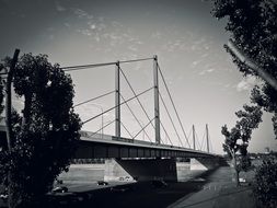 side view of theodor-heuss bridge at summer, germany, dÃ¼sseldorf