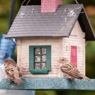 house for sparrows as a work of art