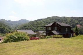 country house with a green lawn