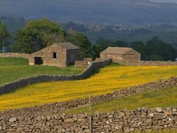 farm fields in the uk