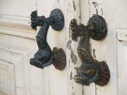 old historic home door