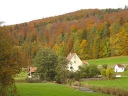 white houses among the trees in germany