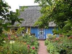 house with reed roof behind green trees